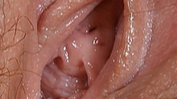 Sex inside vagina