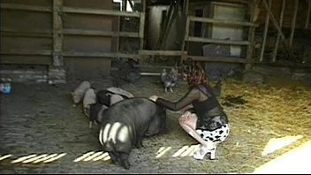 Farm sex porny zoo