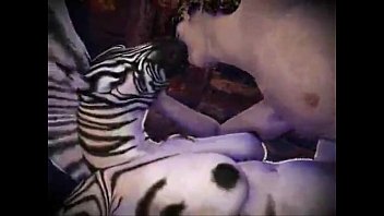Zebra cobrindo zebra fazendo sexo com zebra