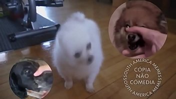 Video sexo cachorr