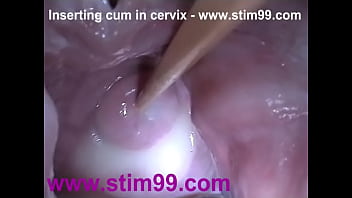 View inside vagina sex gifs