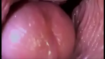 Camera inside anus during sex