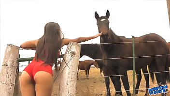 Videos de sexo brasileirinhas anal com monica santiago