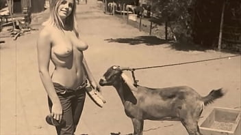 Sexo entre animais