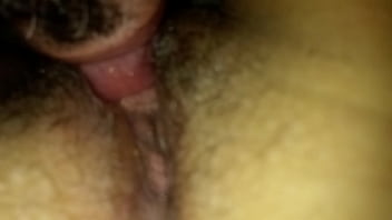 Sexo vaginal lingua